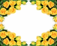 flowers 010