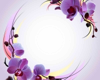 flowers 019