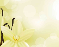 flowers 021