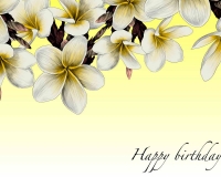 flowers 242