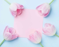 flowers 246